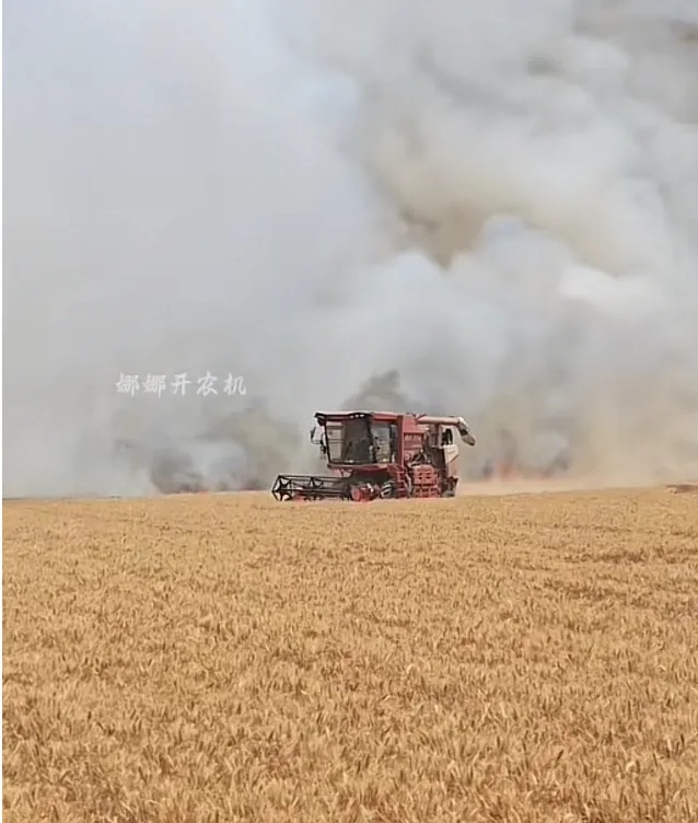 麦田起火,女子驾收割机冲进火场抢救!喊“好吓人”,义无反顾往前冲 麦田起火,女子驾收割机冲进火场抢救!喊“好吓人”,义无反顾往前冲