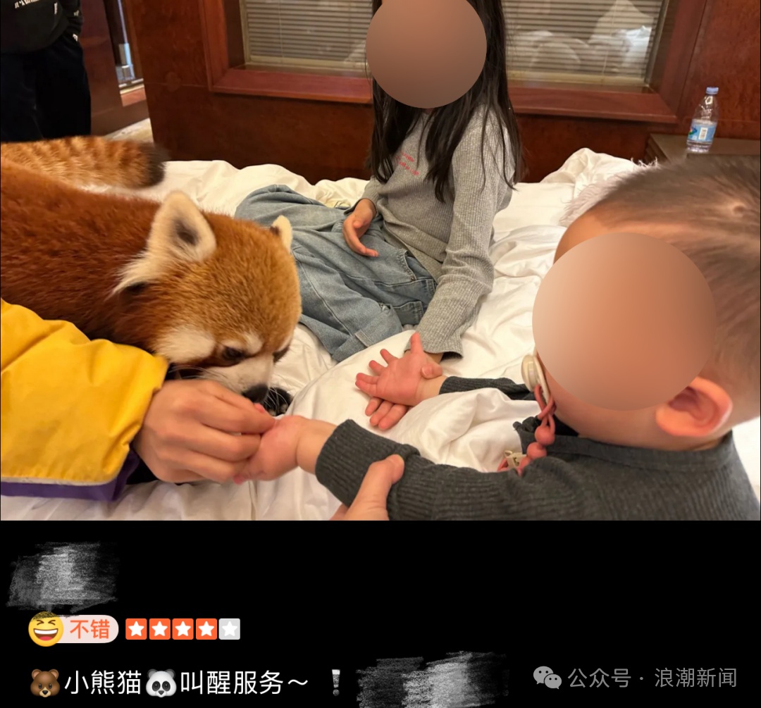 3000元一晚的酒店，这项服务被永久叫停！