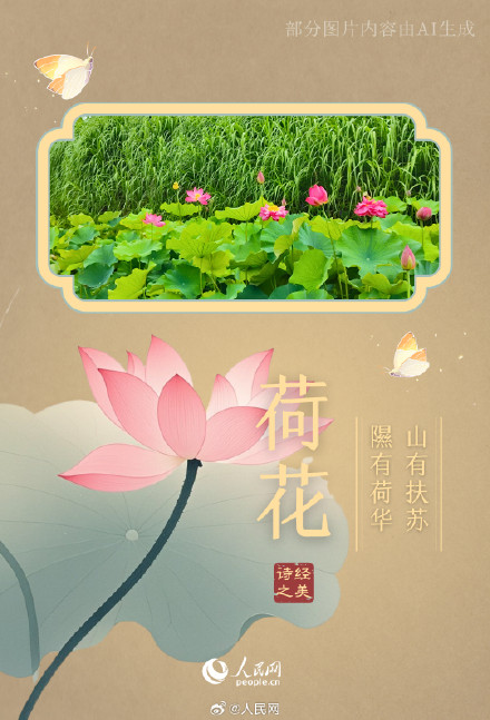 浪漫！陕西这个公园都是诗经里的植物