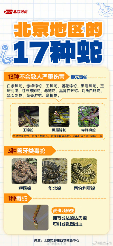 北京闷热多雨蛇类频繁出没 自救指南快快收藏 北京闷热多雨蛇类频繁出没 自救指南快快收藏
