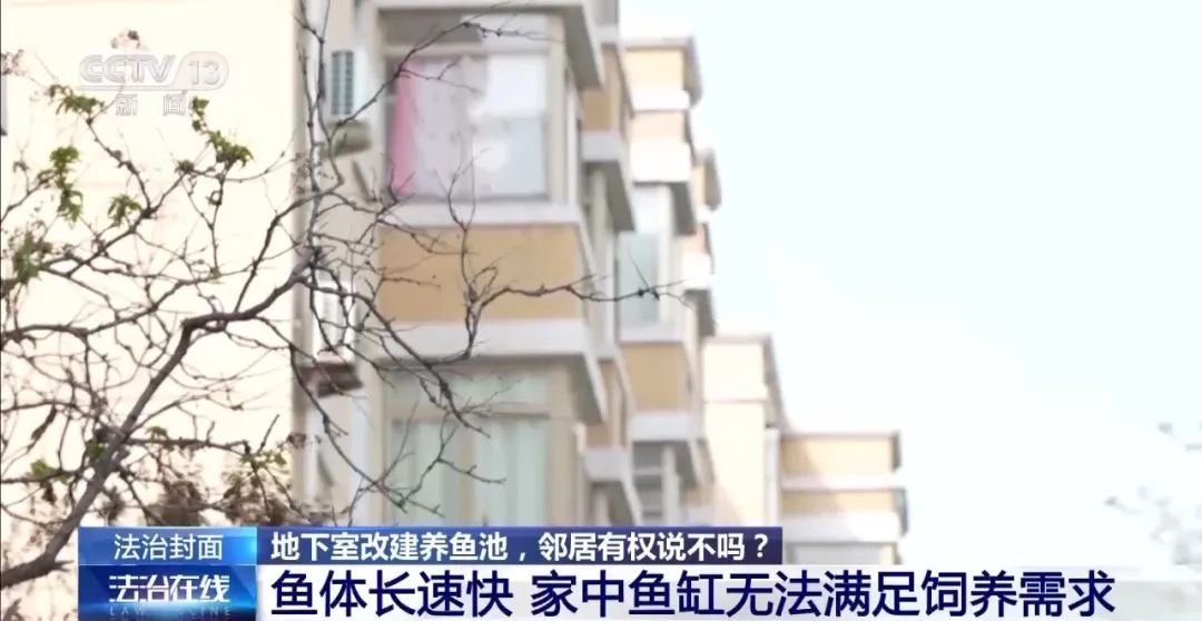 被锦鲤“整疯”!男子将地下室改成大鱼池惹怒邻居 被锦鲤“整疯”!男子将地下室改成大鱼池惹怒邻居