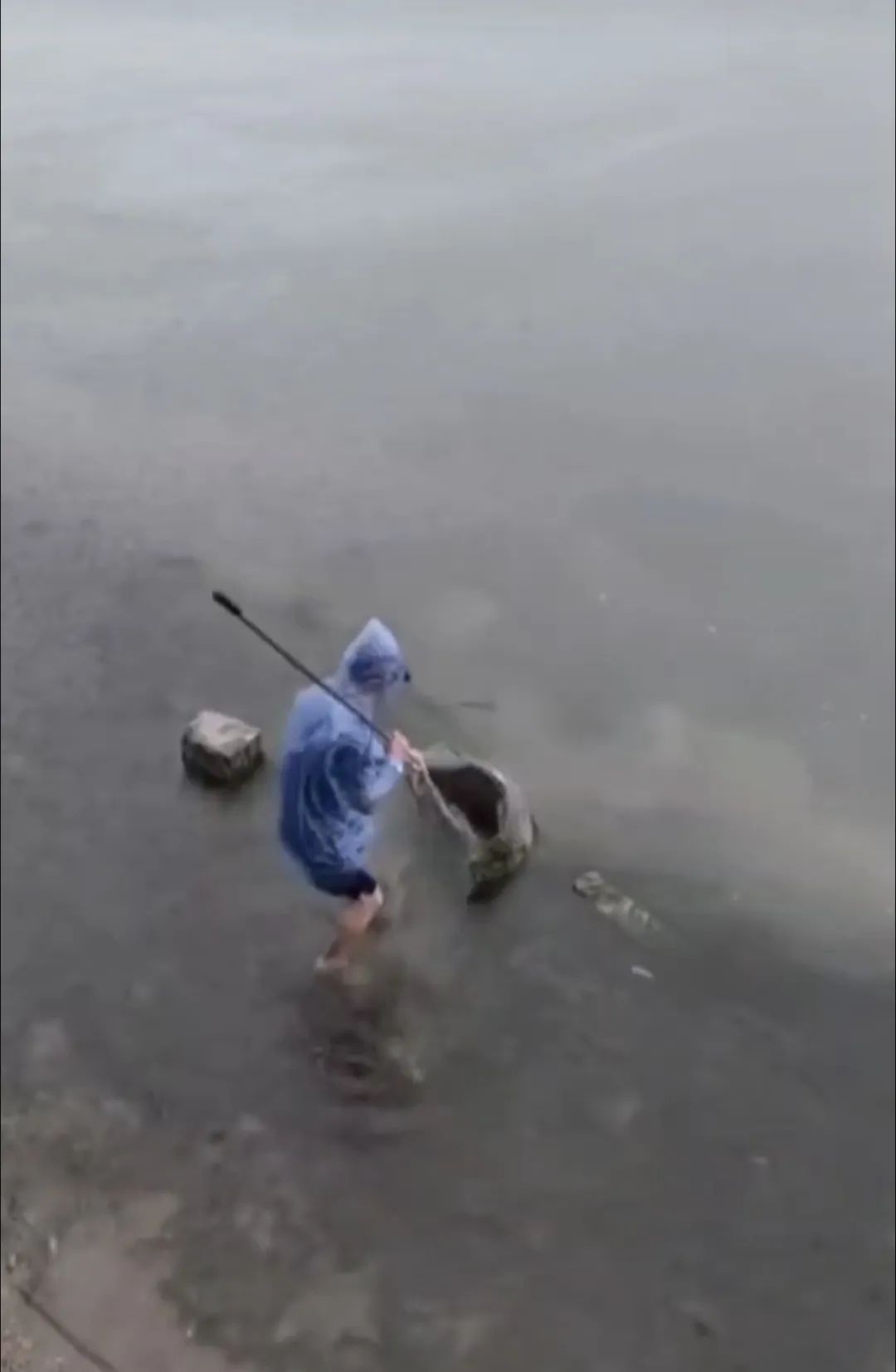 厦门一男子钓到了72斤重的石斑鱼,被人3000元买走,网友炸锅了...... 厦门一男子钓到了72斤重的石斑鱼,被人3000元买走,网友炸锅了......