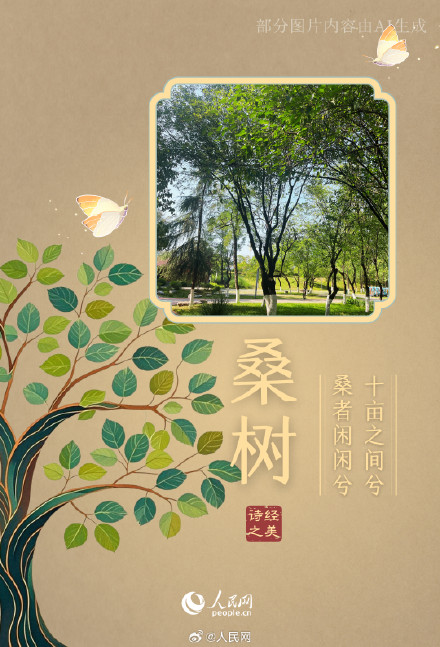 浪漫！陕西这个公园都是诗经里的植物