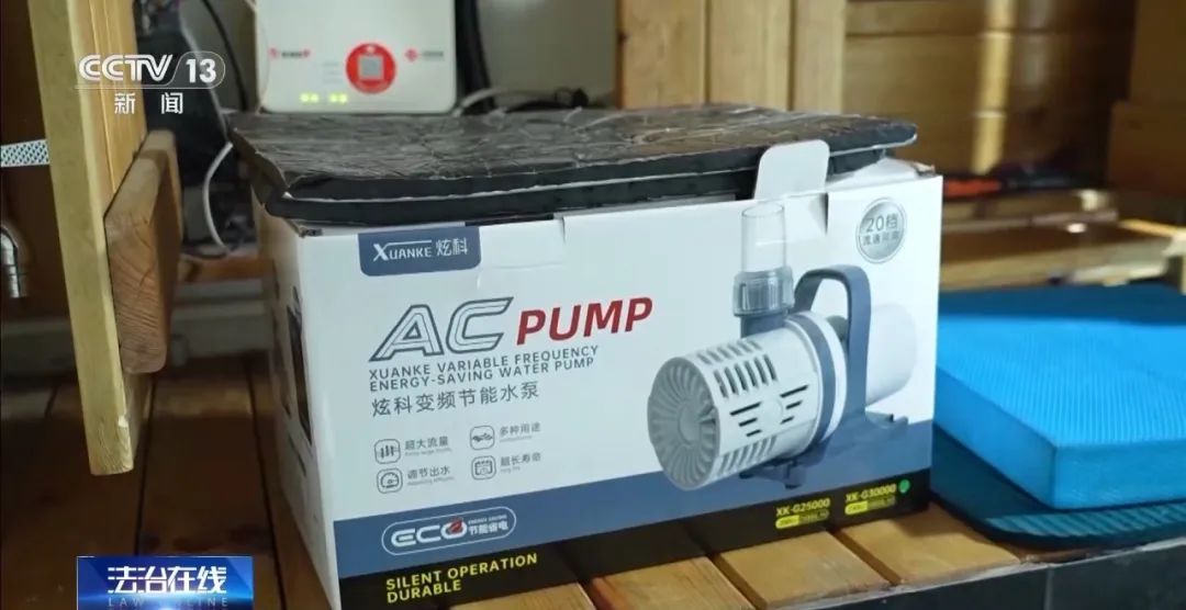 被锦鲤“整疯”!男子将地下室改成大鱼池惹怒邻居 被锦鲤“整疯”!男子将地下室改成大鱼池惹怒邻居