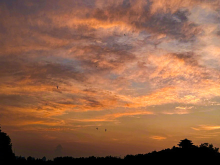 美丽北京|金霞染京城!故宫角楼邂逅景山落日 美丽北京|金霞染京城!故宫角楼邂逅景山落日