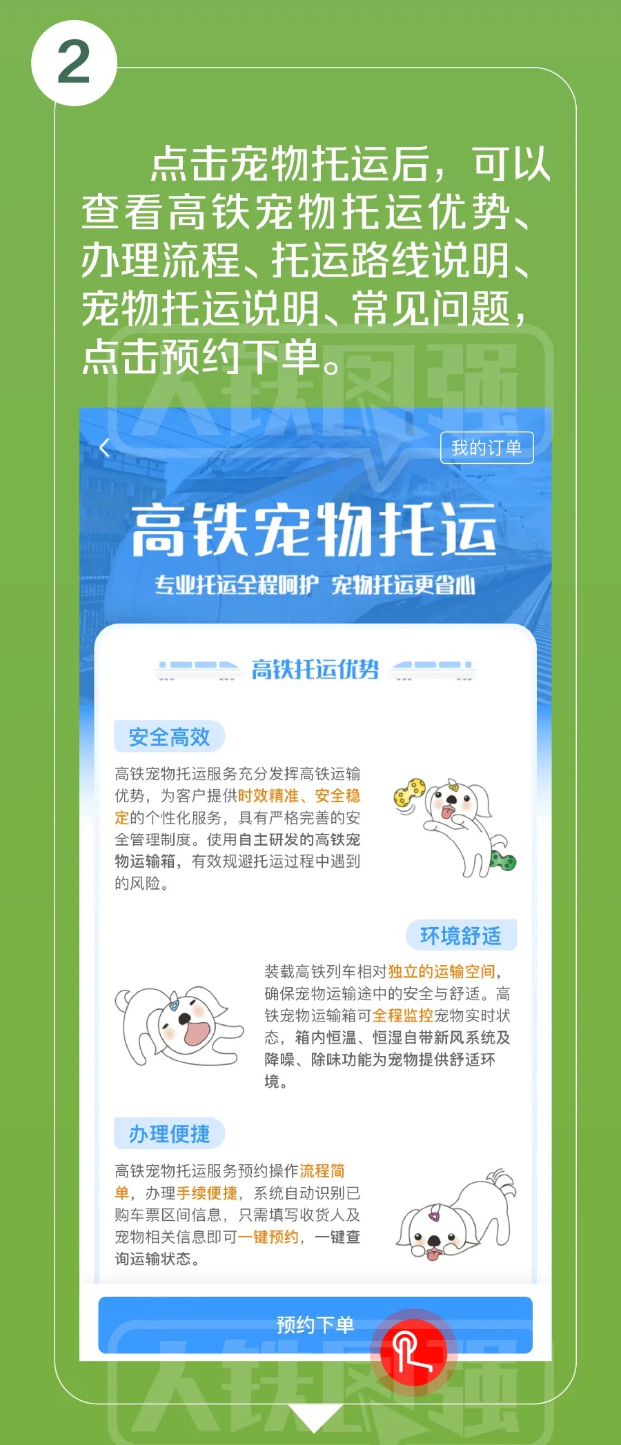 高铁宠物托运服务试点范围今起扩大,详细指南来了 高铁宠物托运服务试点范围今起扩大,详细指南来了