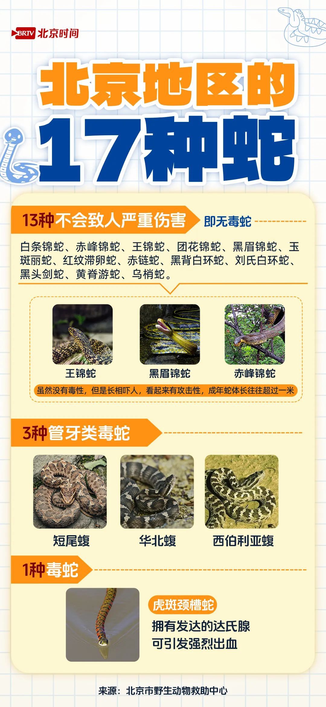 遇蛇千万不要慌,牢记“四要”“四不要” 遇蛇千万不要慌,牢记“四要”“四不要”