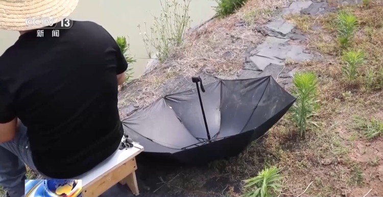 男子爱玩弹弓囤了4300余颗钢珠 “玩脱”打碎列车玻璃被行拘 男子爱玩弹弓囤了4300余颗钢珠 “玩脱”打碎列车玻璃被行拘