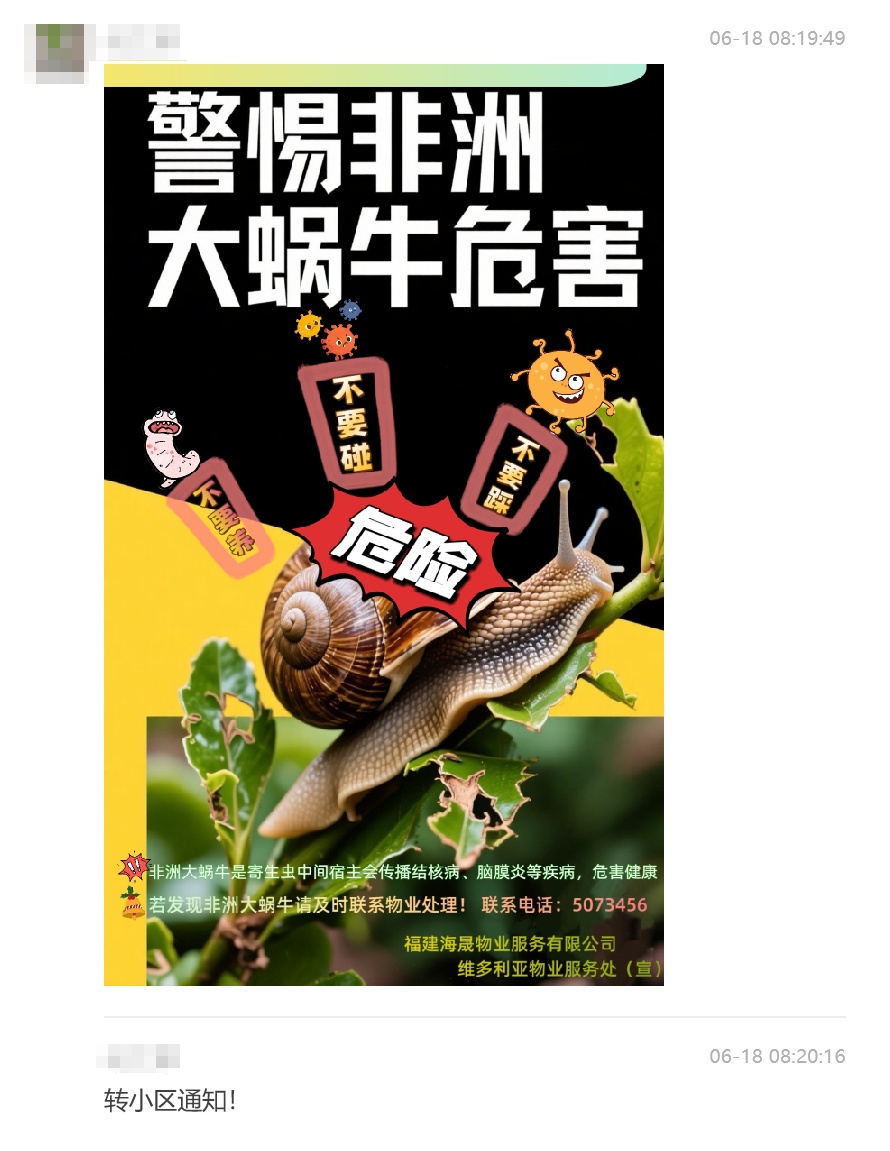 路边大量出现！厦门多人遇到！别碰别捡别吃！有致命危害→