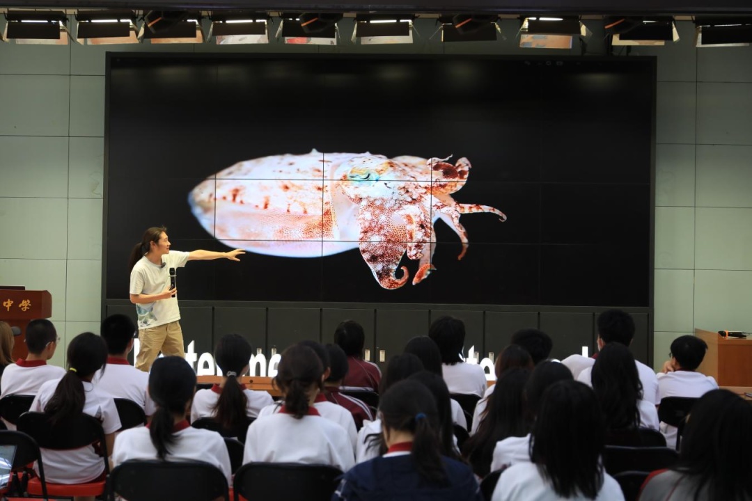 资讯动态 | 窥见海洋生物“最强大脑”：揭开乌贼与章鱼的神经行为学奥秘