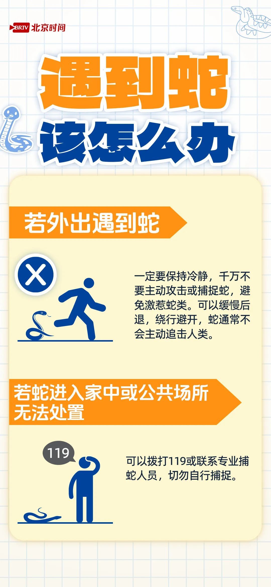 遇蛇千万不要慌,牢记“四要”“四不要” 遇蛇千万不要慌,牢记“四要”“四不要”