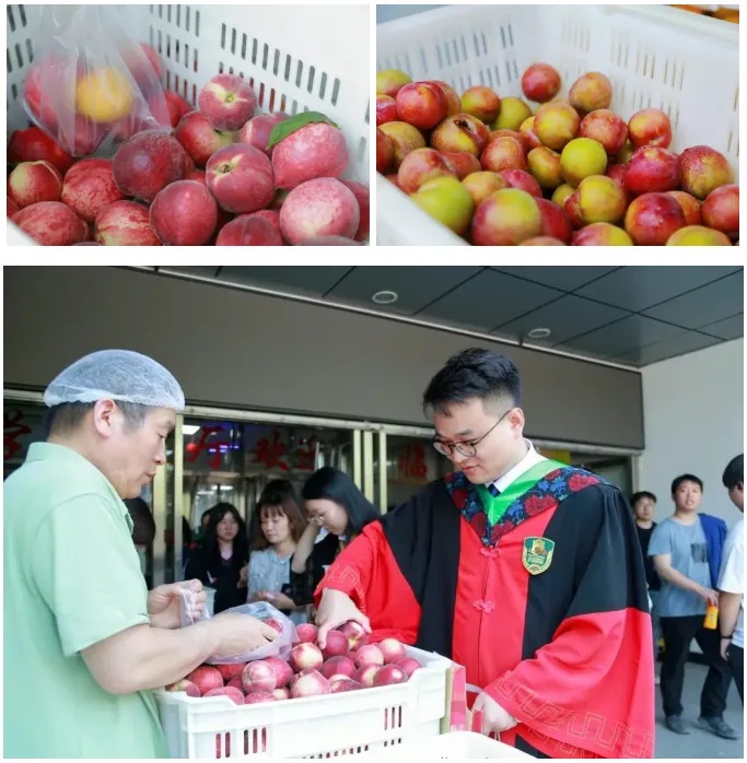 6旬校长硬核拨穗14小时,玩梗整活样样配合!“全世界最好的农场主”火了 6旬校长硬核拨穗14小时,玩梗整活样样配合!“全世界最好的农场主”火了