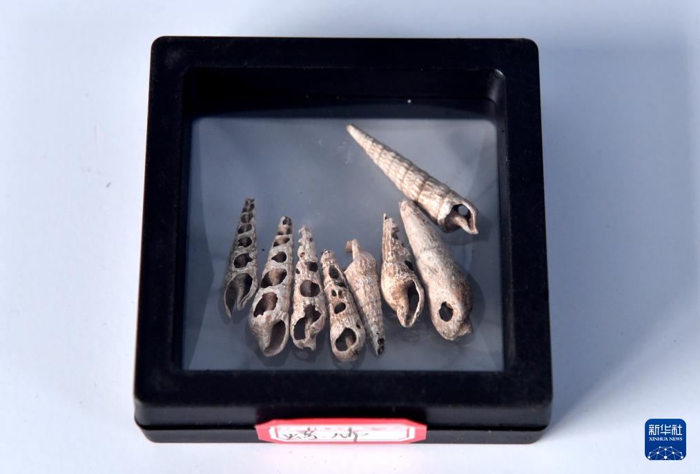 探访宣化郑家沟遗址 探访宣化郑家沟遗址