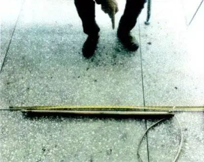 四川一“偷狗惯犯”监外执行期再作案,4天盗4犬获刑一年八月 四川一“偷狗惯犯”监外执行期再作案,4天盗4犬获刑一年八月