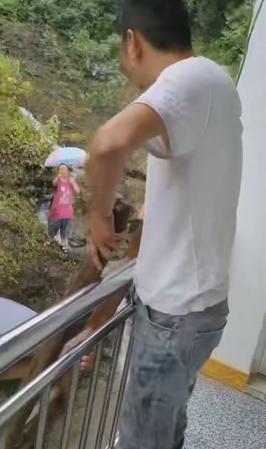 惊险！桑植村干部暴雨中发现险情疏散3人，其中有1岁婴儿，不到一小时后山体轰然滑坡
