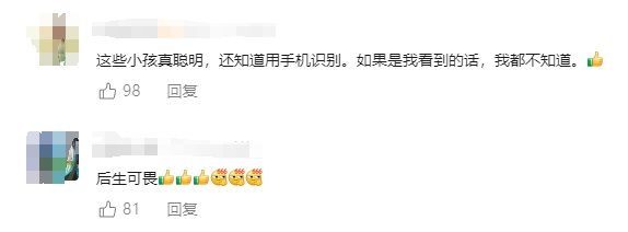 小学生察觉路边植物模样奇特，手机识别一看，立即报警