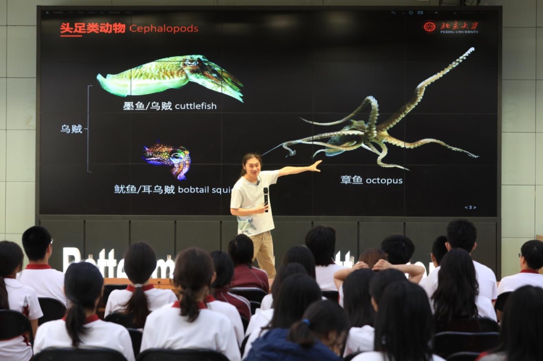 资讯动态 | 窥见海洋生物“最强大脑”：揭开乌贼与章鱼的神经行为学奥秘