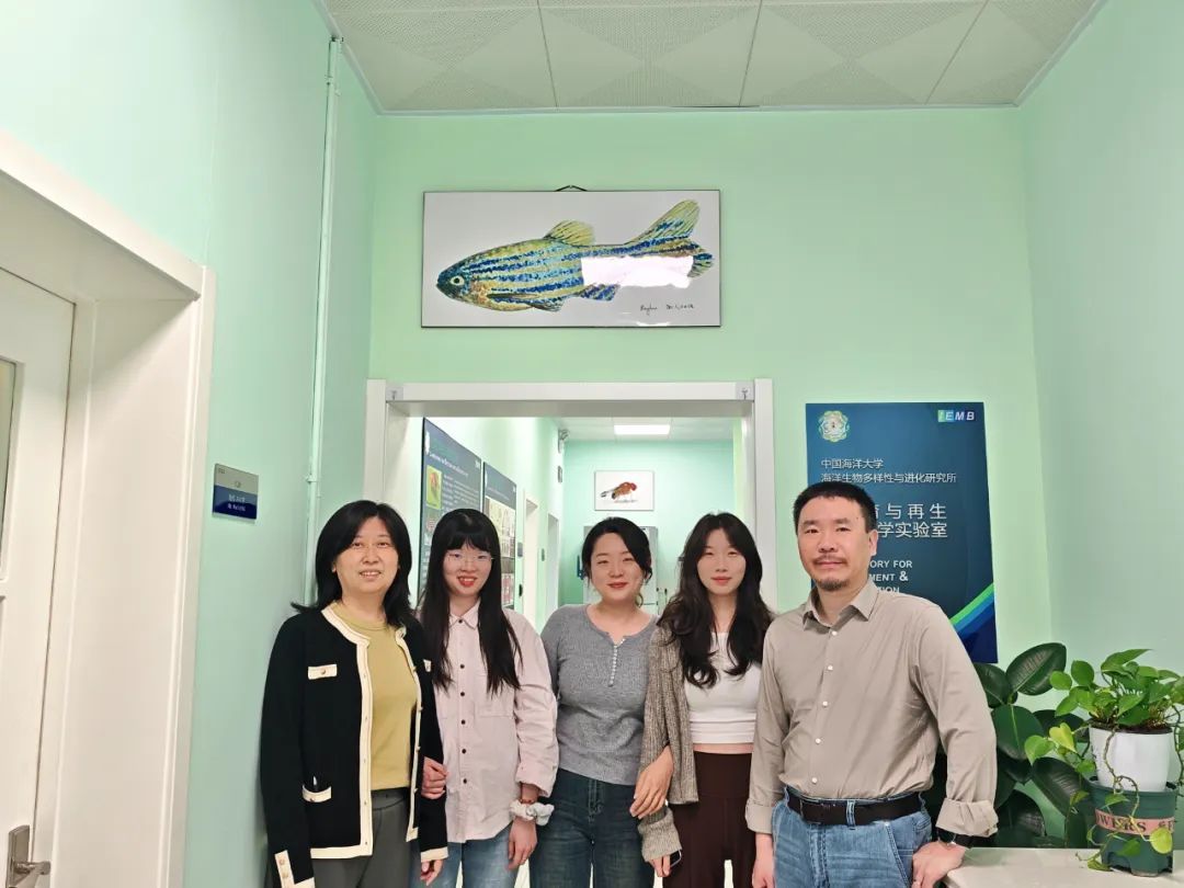 人类梦想的超能力!4厘米小鱼暗藏“不死之心” 人类梦想的超能力!4厘米小鱼暗藏“不死之心”