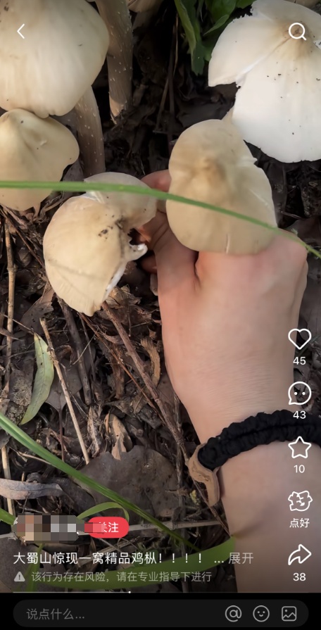 大蜀山捡蘑菇?近期疯长!官方提醒:不要随意采摘食用 大蜀山捡蘑菇?近期疯长!官方提醒:不要随意采摘食用