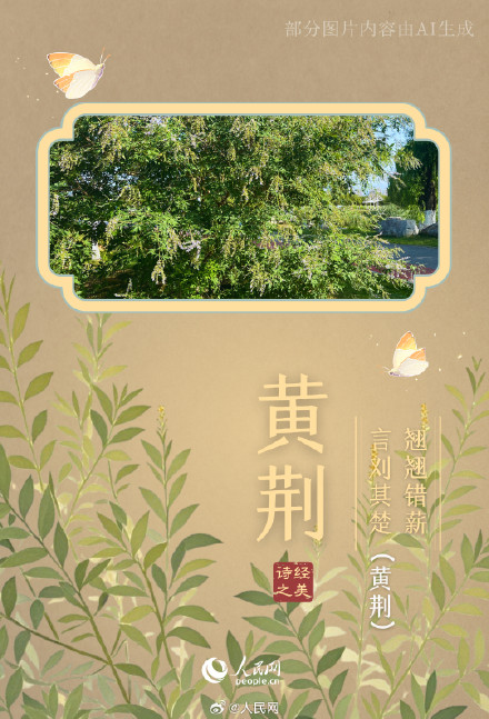 浪漫！陕西这个公园都是诗经里的植物