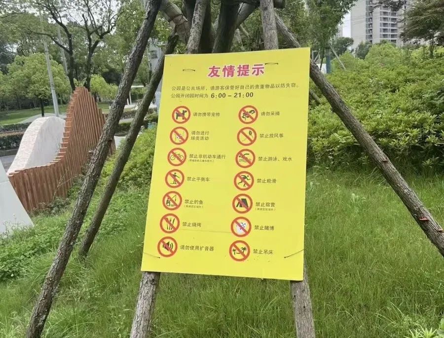 不要摘!不要吃!上海街头正大量出现 不要摘!不要吃!上海街头正大量出现