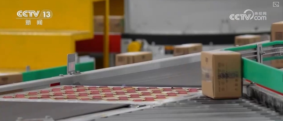 国补”继续、投资加力、电商增长……多维度“数”读经济发展活力满格 国补”继续、投资加力、电商增长……多维度“数”读经济发展活力满格