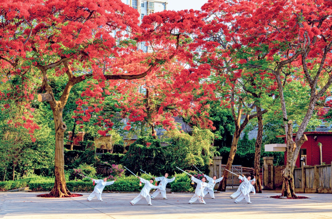 银发族的新选择——全国政协委员李明谈康养旅居 银发族的新选择——全国政协委员李明谈康养旅居