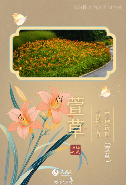 浪漫！陕西这个公园都是诗经里的植物