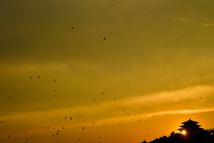 美丽北京|金霞染京城!故宫角楼邂逅景山落日 美丽北京|金霞染京城!故宫角楼邂逅景山落日