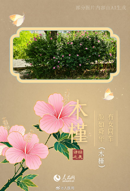 浪漫！陕西这个公园都是诗经里的植物