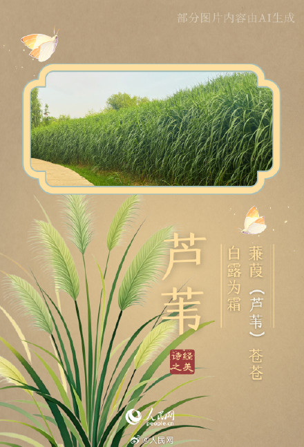 浪漫！陕西这个公园都是诗经里的植物