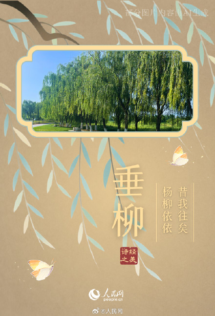 浪漫！陕西这个公园都是诗经里的植物