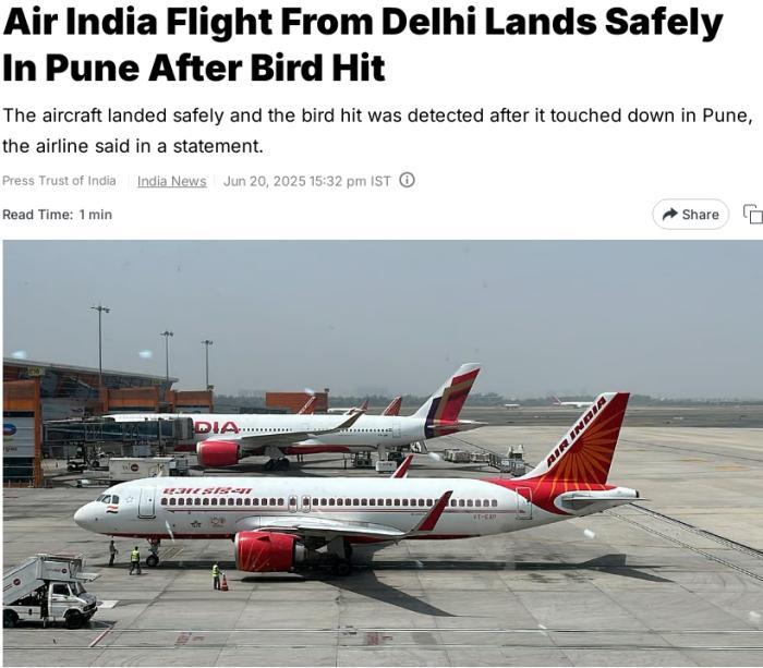 飞行过程中遭遇鸟击 印度航空一航班安全降落后停飞