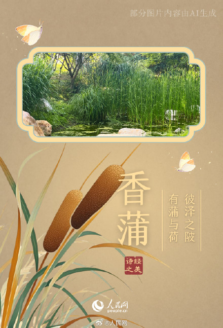 浪漫！陕西这个公园都是诗经里的植物