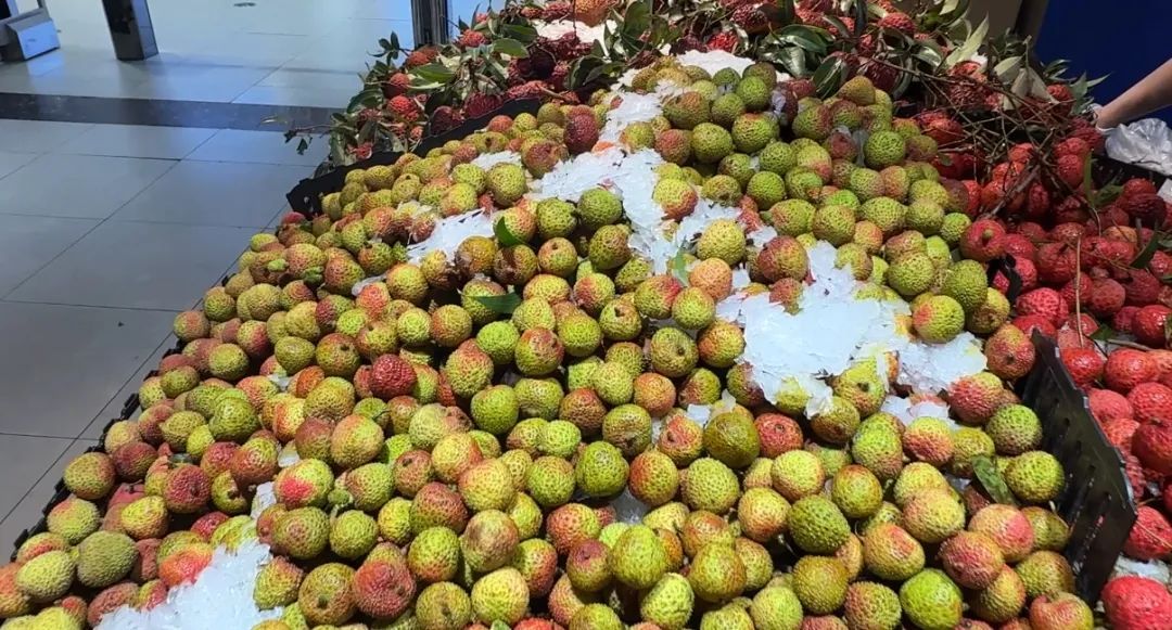 价格“腰斩”!哈尔滨人实现“荔枝自由”,日均消费100吨 价格“腰斩”!哈尔滨人实现“荔枝自由”,日均消费100吨