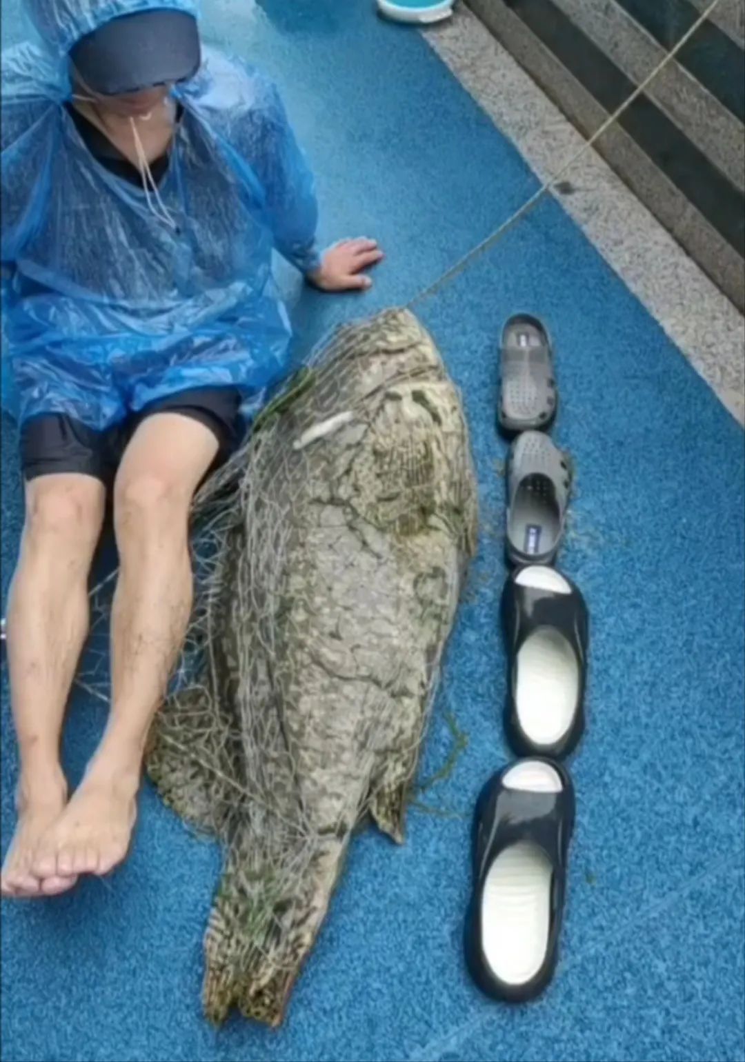 厦门一男子钓到了72斤重的石斑鱼,被人3000元买走,网友炸锅了...... 厦门一男子钓到了72斤重的石斑鱼,被人3000元买走,网友炸锅了......