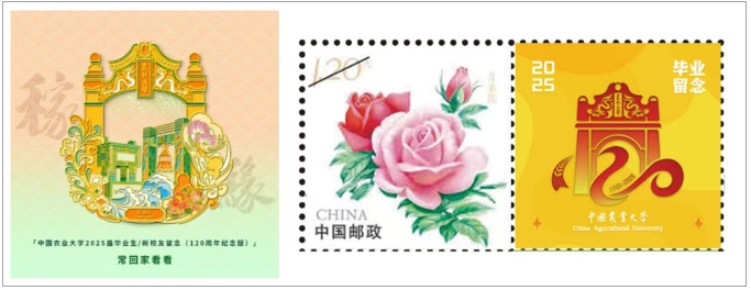 6旬校长,硬核拨穗11+13小时! 6旬校长,硬核拨穗11+13小时!