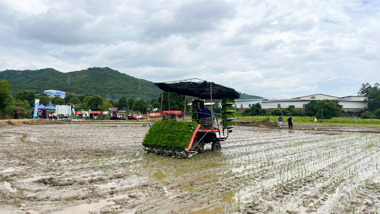 龙岩连城：推广新农机 助力种好粮