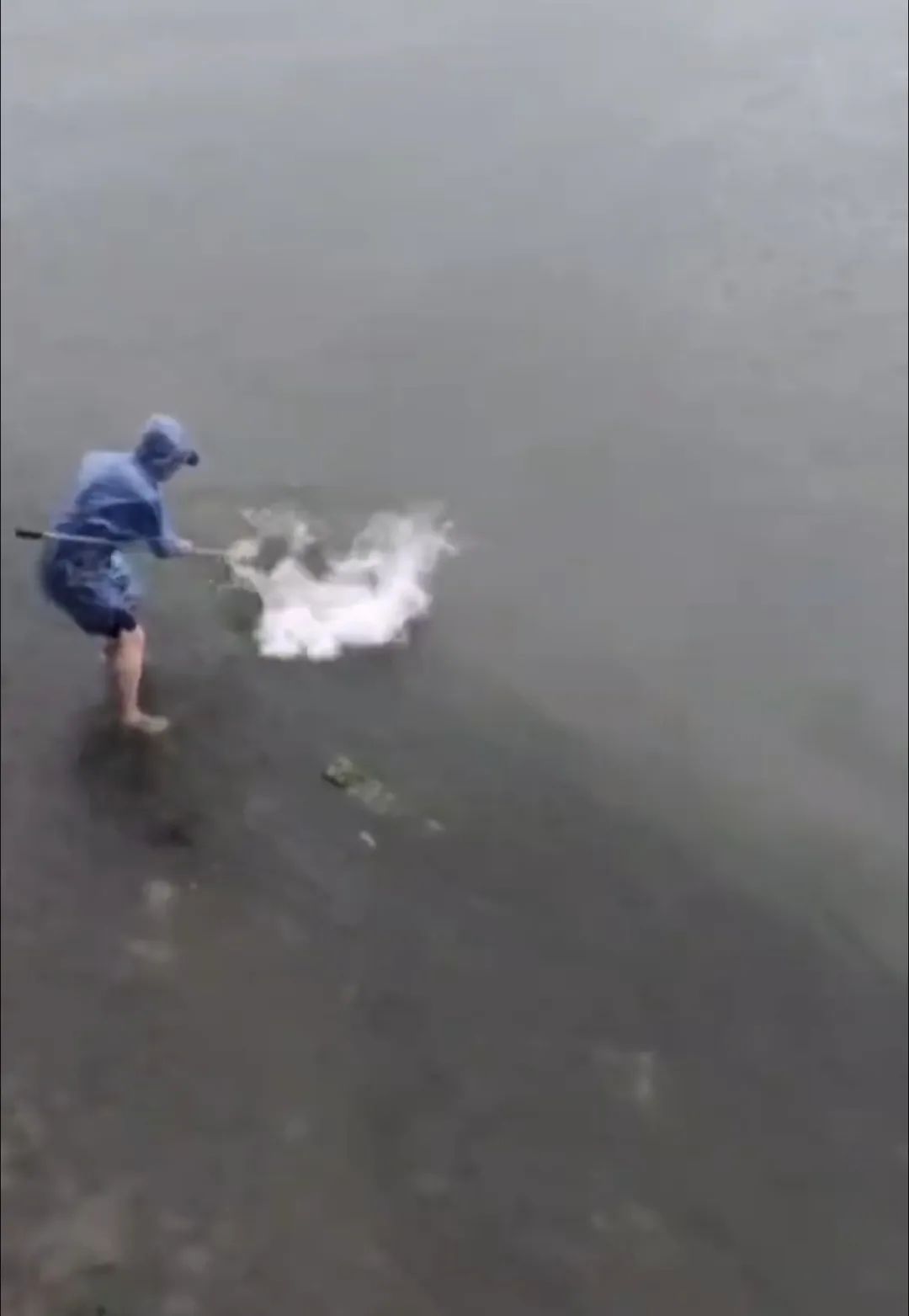 厦门一男子钓到了72斤重的石斑鱼,被人3000元买走,网友炸锅了...... 厦门一男子钓到了72斤重的石斑鱼,被人3000元买走,网友炸锅了......