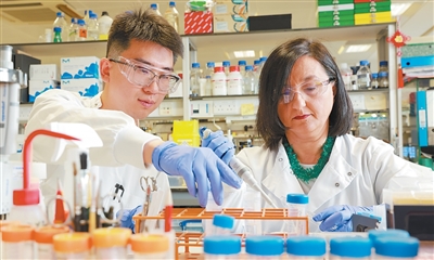 人类能否长出“第三副”牙齿? 人类能否长出“第三副”牙齿?