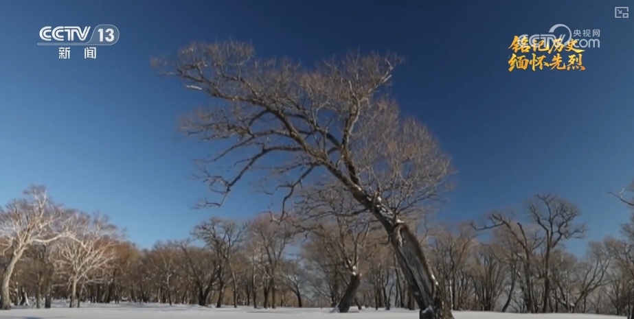 岁月不曾模糊英雄身影 白山黑水间铸就中国人挺立的精神丰碑 岁月不曾模糊英雄身影 白山黑水间铸就中国人挺立的精神丰碑