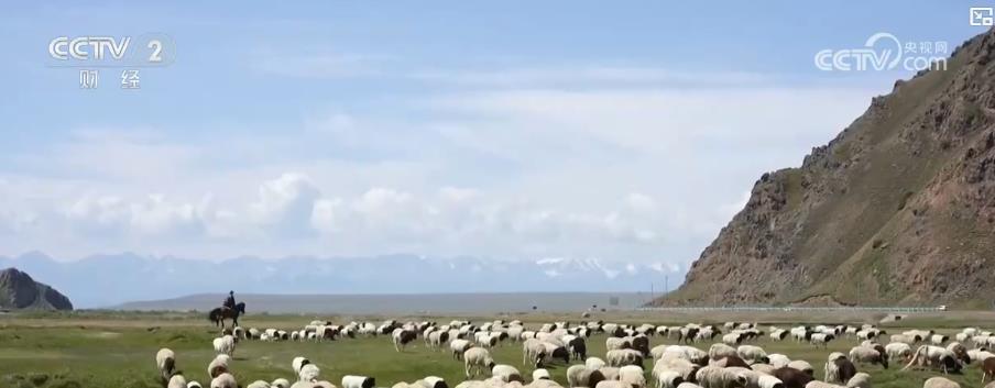 护牧队全程护航:新疆夏季转场安全有序 护牧队全程护航:新疆夏季转场安全有序