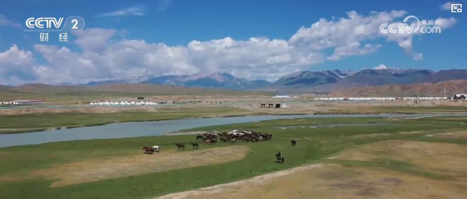 护牧队全程护航:新疆夏季转场安全有序 护牧队全程护航:新疆夏季转场安全有序