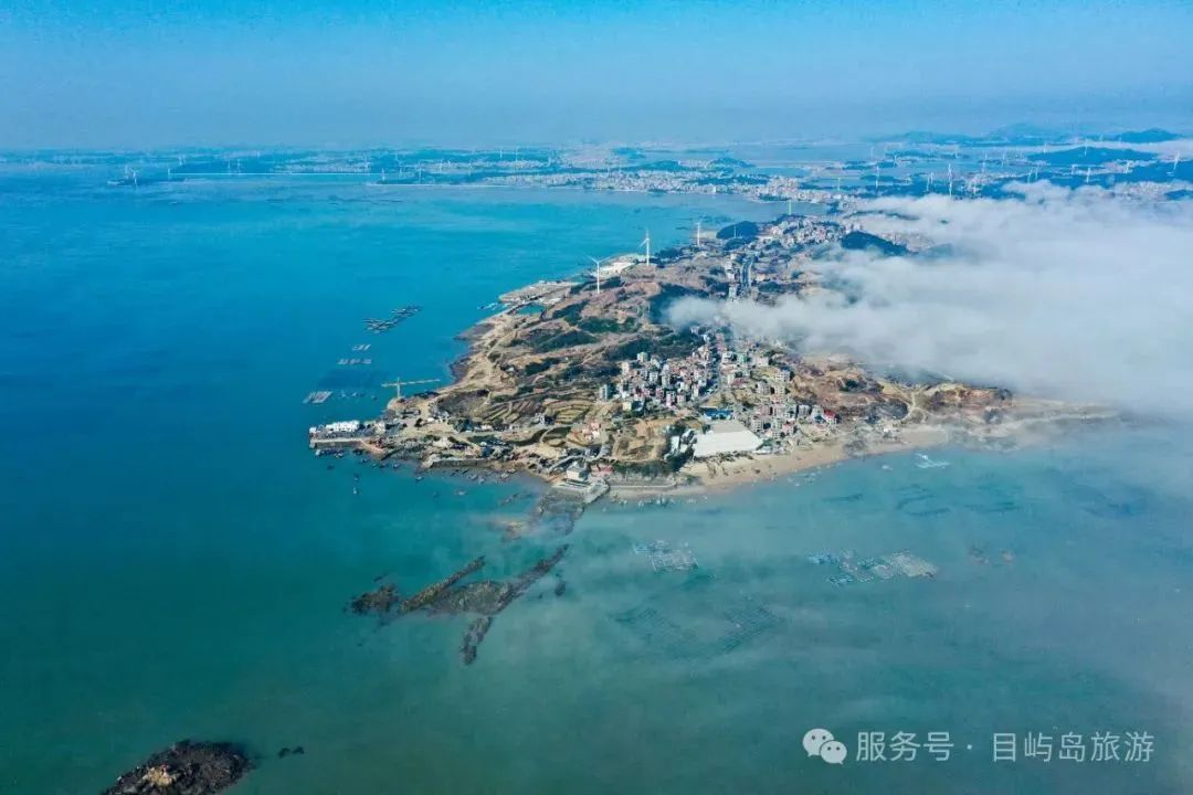 夏至丨万物繁茂,共赴一场盛夏之约 夏至丨万物繁茂,共赴一场盛夏之约