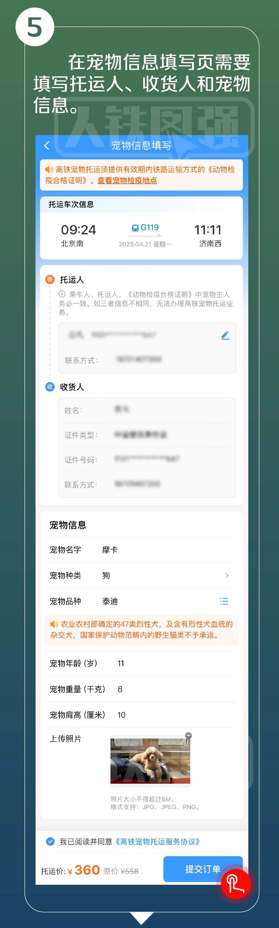 好消息:狗子可以在广州南站上车了!坏消息:胖的不行 好消息:狗子可以在广州南站上车了!坏消息:胖的不行
