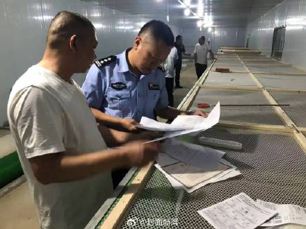 四川八旬老人被毒蛇咬伤后续：“真凶”或是原矛头蝮