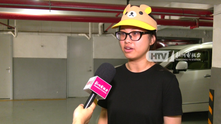 杭州一写字楼内出现“小狐狸”？兽医院院长：普通的宠物小狗，像狐狸犬