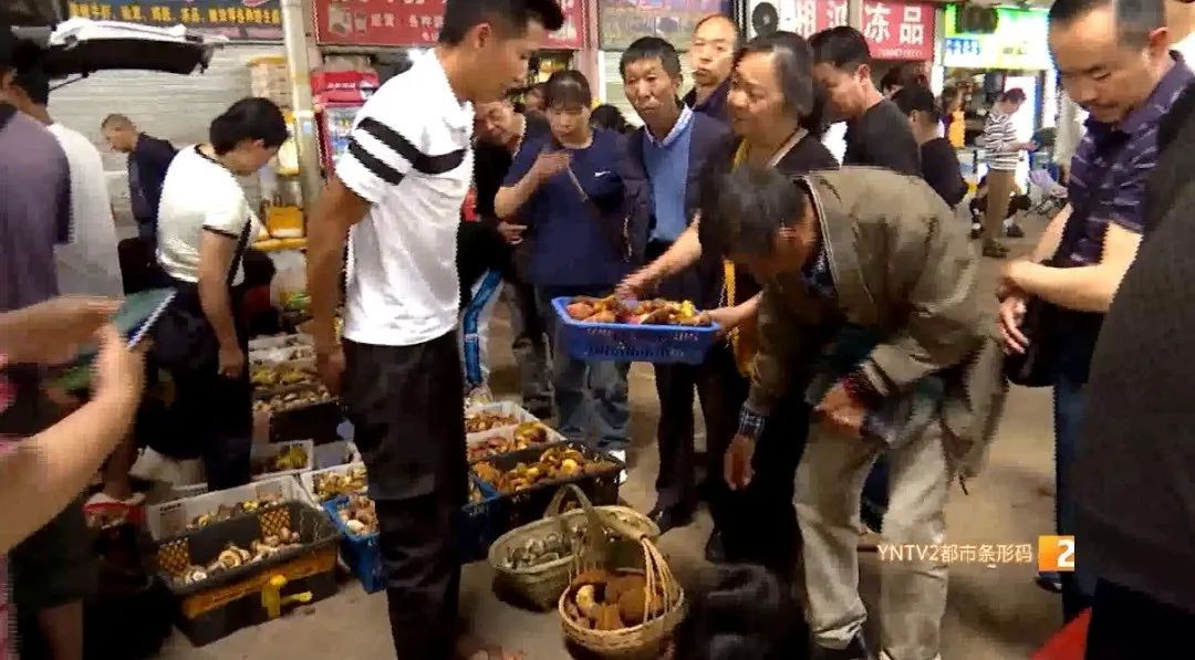 主打新鲜!清早采摘下午开抢!昆明这里的"车尾菌市"火啦 主打新鲜!清早采摘下午开抢!昆明这里的"车尾菌市"火啦
