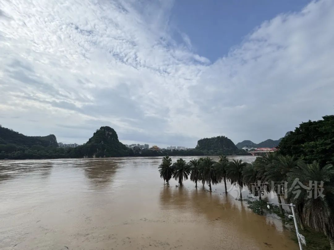 柳江水位或直逼83米！大雨、暴雨还在持续，柳州5条江河超警洪水