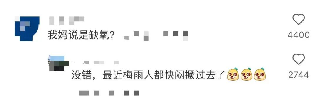 “百鱼起飞”，被指是地震前兆？专家回应